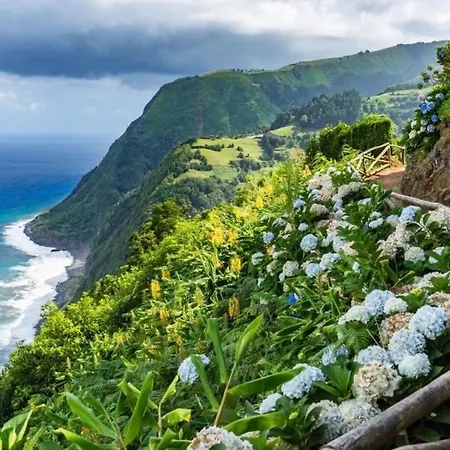Our Azorean Corner