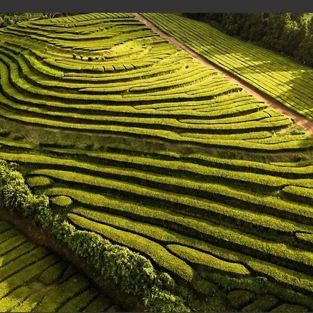 Our Azorean Corner * Ribeira Grande