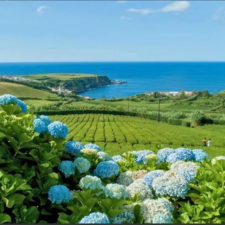 Our Azorean Corner